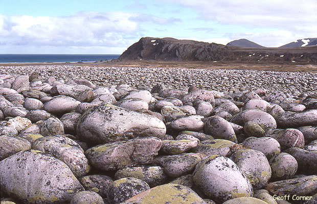 Rullesteinsstrand, klikk for å gå tilbake