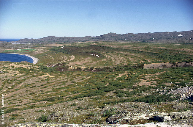 Brannsletta