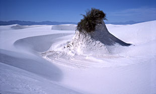 Hvit sand