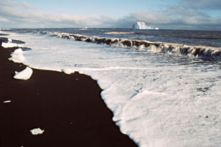 Svart strand